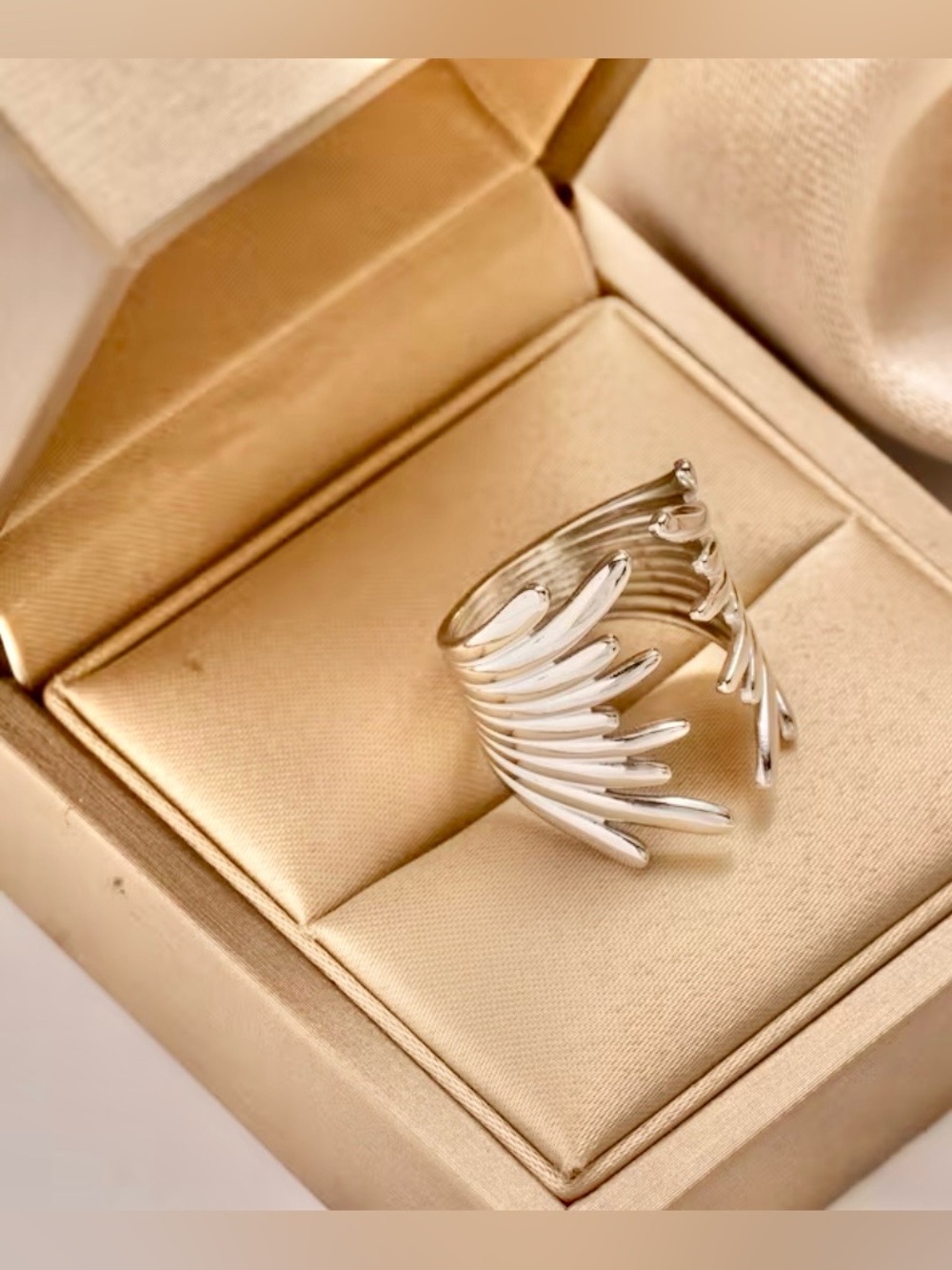 NWT Titanium Adjustable Ring